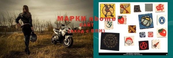 шишки Верхний Тагил