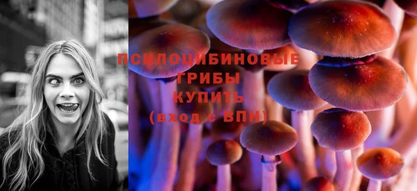 прущая мука Верея