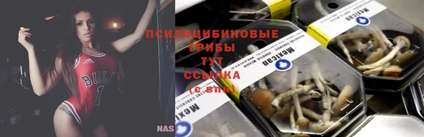 прущая мука Верея