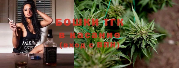 шишки Верхний Тагил
