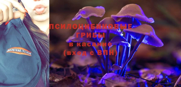 мяу мяу мука Волоколамск