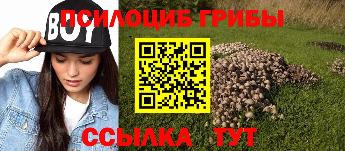 Галлюциногенные грибы GOLDEN TEACHER Ноябрьск