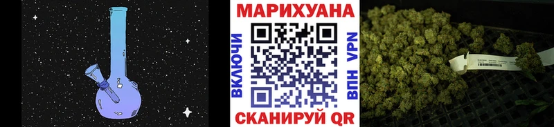 Бошки Шишки планчик Ноябрьск